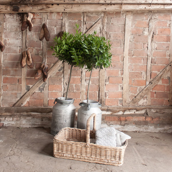 Large Vintage Catering Basket