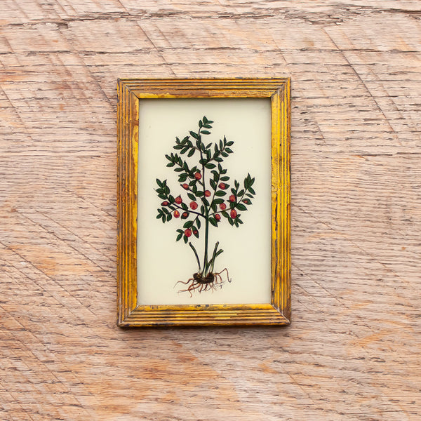 Small Framed Glass Painting From India