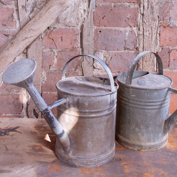 Traditional Vintage Zinc Garden Watering Can