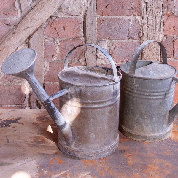 Traditional Vintage Zinc Garden Watering Can