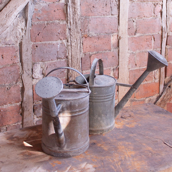 Traditional Vintage Zinc Garden Watering Can