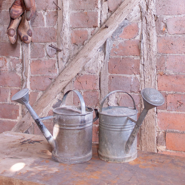 Traditional Vintage Zinc Garden Watering Can