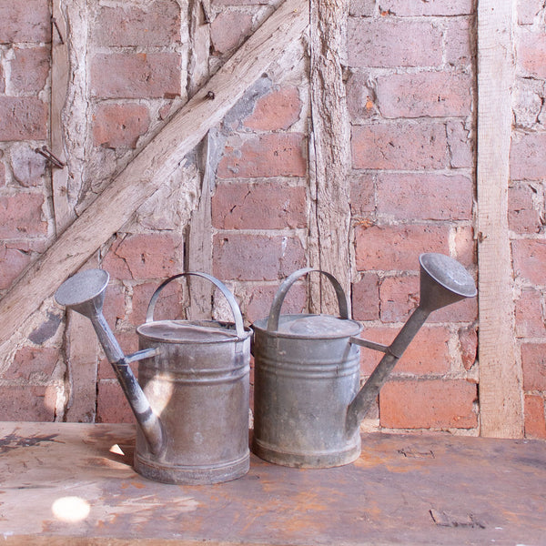 Traditional Vintage Zinc Garden Watering Can