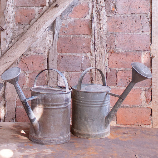 Traditional Vintage Zinc Garden Watering Can
