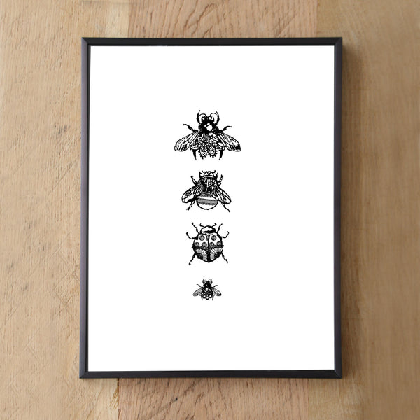 Lacy insect Gallery Collection