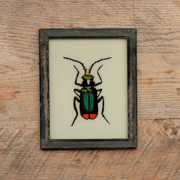 Medium Framed Glass Painting From India