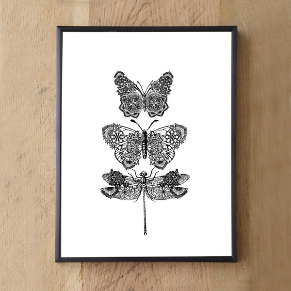Lacy insect Gallery Collection