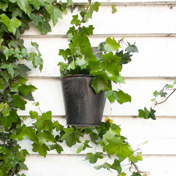 Vintage Half Bucket Hanging Pots