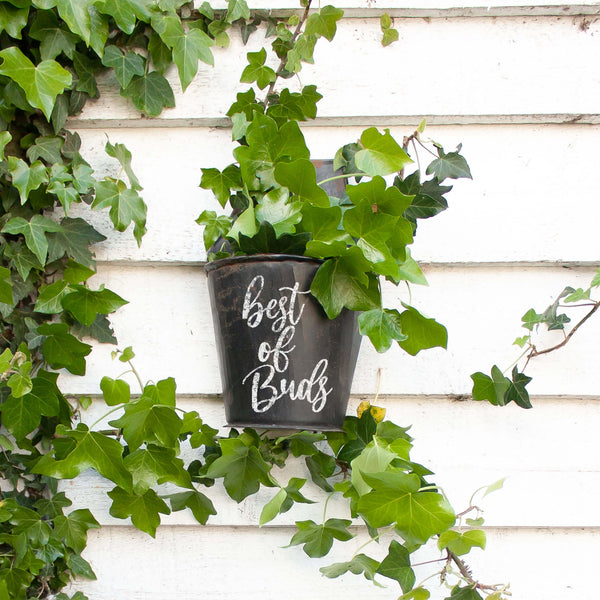 Vintage Half Bucket Hanging Pots