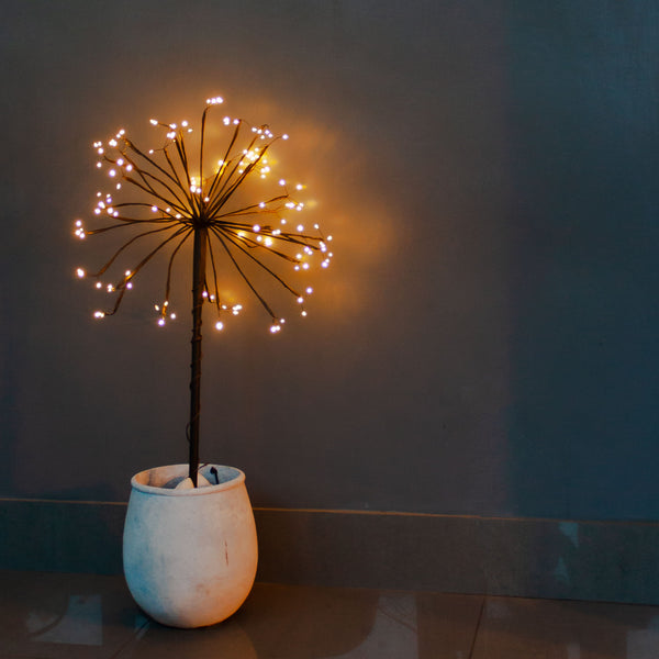 Sparkling Outdoor Starburst Solar Lights