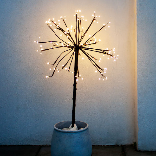 Sparkling Outdoor Starburst Solar Lights