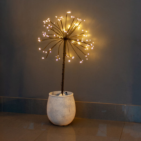 Sparkling Outdoor Starburst Solar Lights