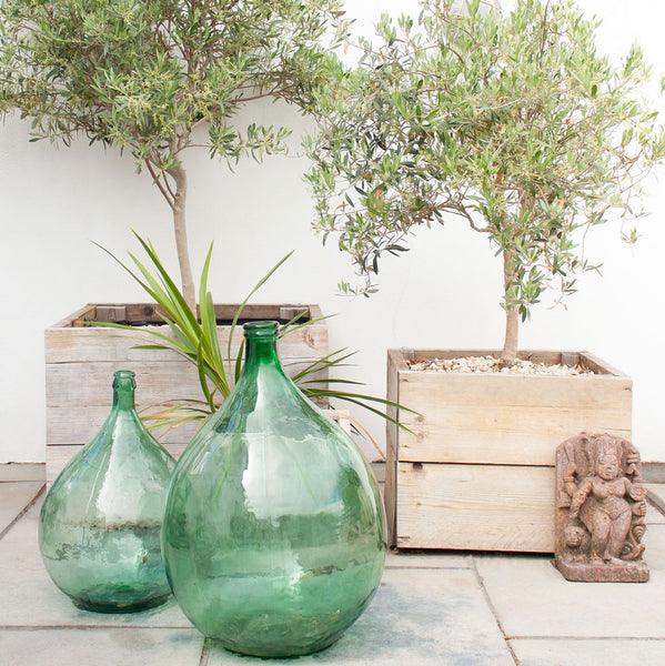 Large Vintage Green French Demijohn Carboy