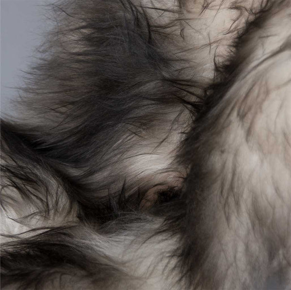 Icelandic sheepskins