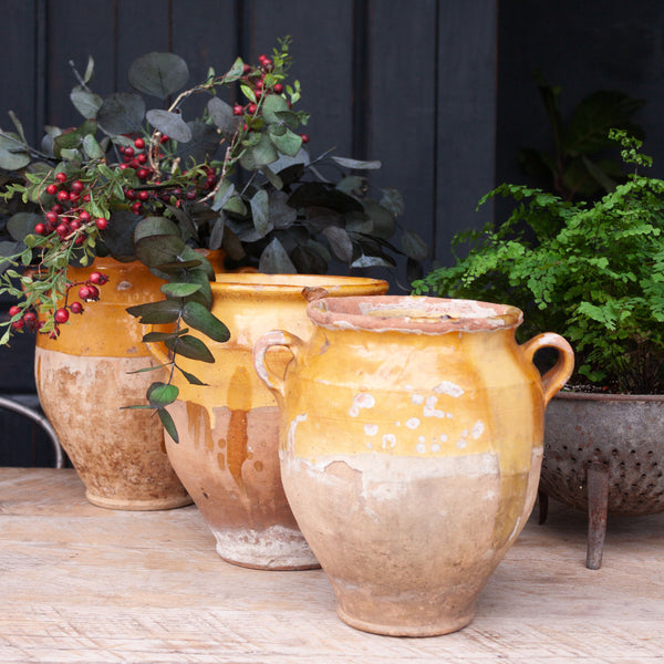 Antique French Yellow Confit Pot