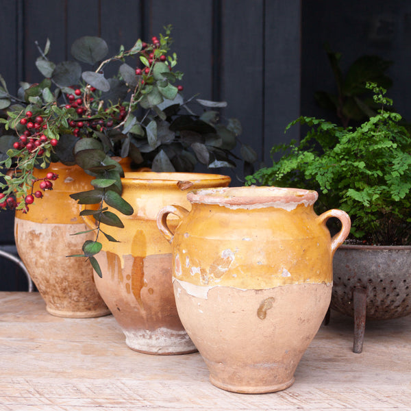 Antique French Yellow Confit Pot