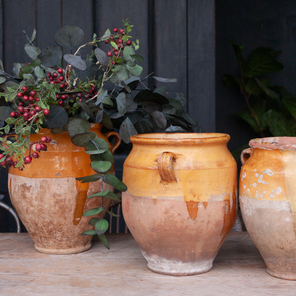 Antique French Yellow Confit Pot