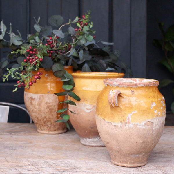 Antique French Yellow Confit Pot