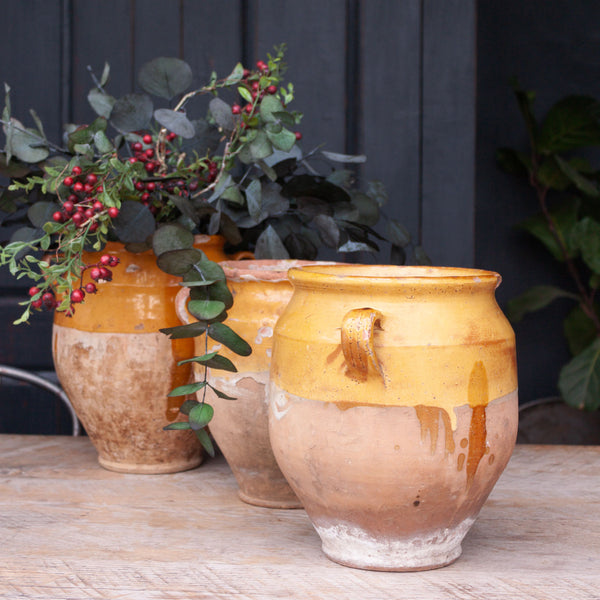 Antique French Yellow Confit Pot