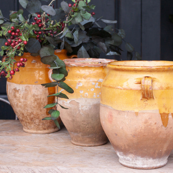 Antique French Yellow Confit Pot