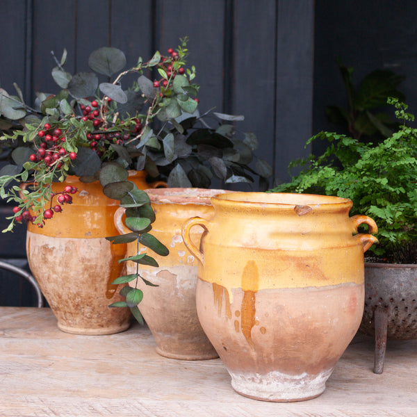 Antique French Yellow Confit Pot