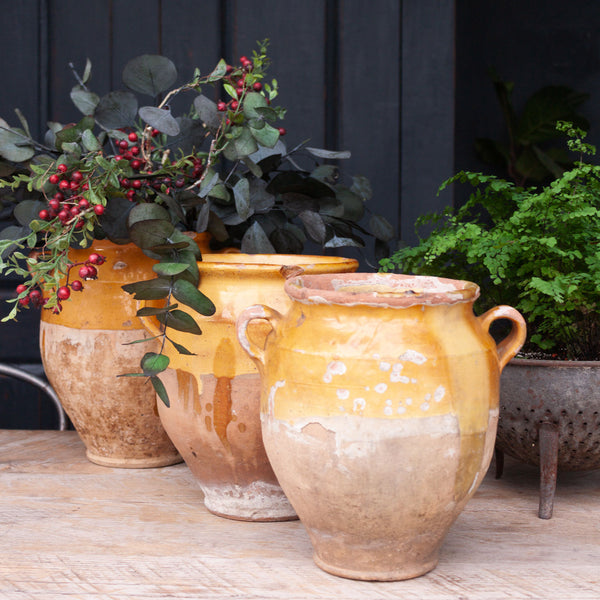 Antique French Yellow Confit Pot