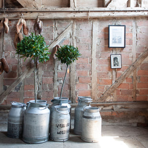 Large Vintage Metal Milk Churns