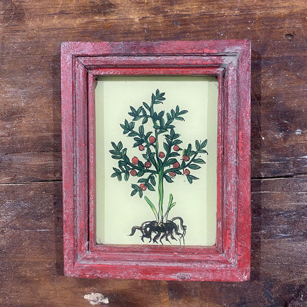 Mini Framed Glass Painting From India