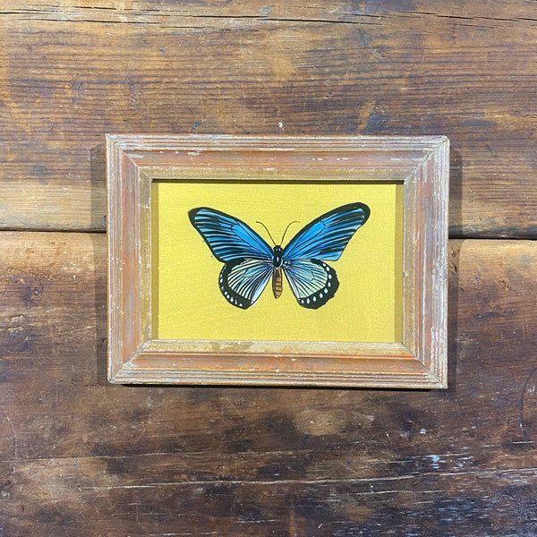 Small Framed Glass Painting From India