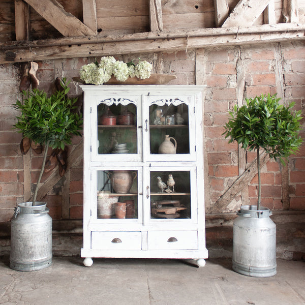 Indian Display Cabinet with Birds