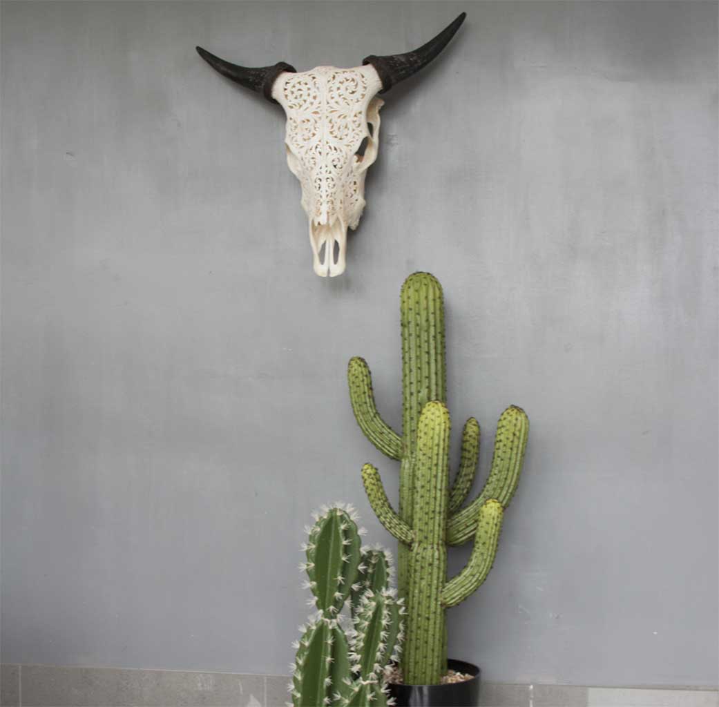 Phoenix Faux Cactus – InekoHome