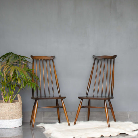 Ombre Ercol Goldsmith Chairs