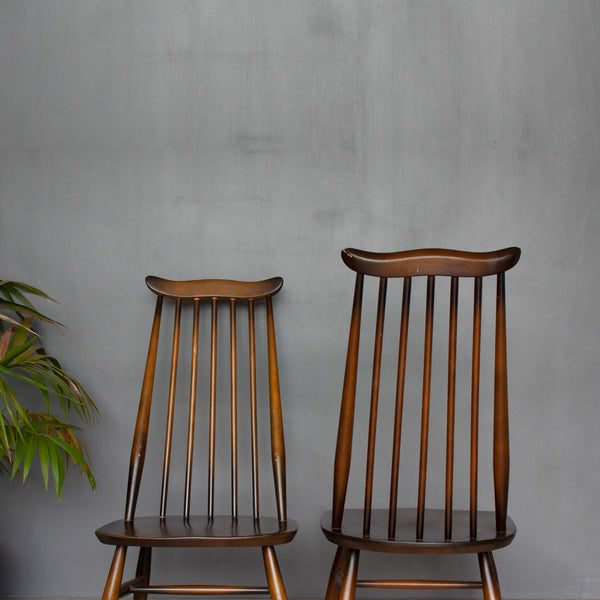 Ombre Ercol Goldsmith Chairs