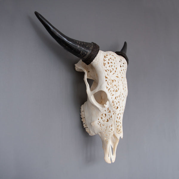 Hand Carved Buffalo Skull